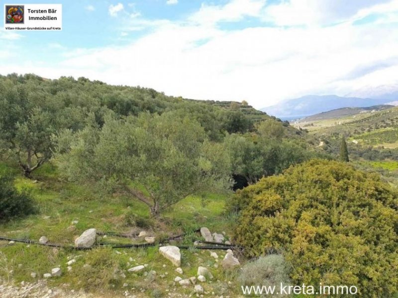 Pitsidia Süd Kreta, Pitsida Baugrundstück mit Meerblick ca.5500m² Grundstück kaufen